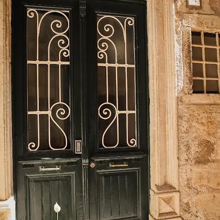 Elephant In My דירה *