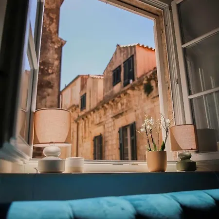 Elephant In My Apartamento *