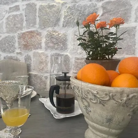 Elephant In My Apartamento *