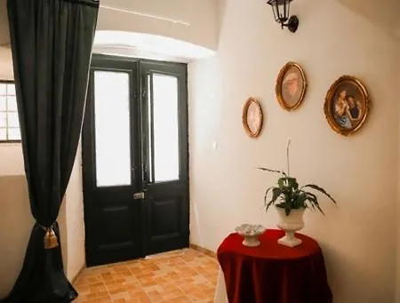 Elephant In My Dubrovnik