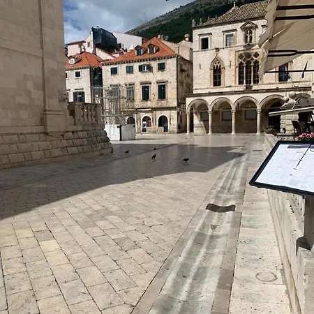 Elephant In My Apartman